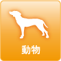 動物